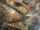 Vintage Heddon 150 Minnow Fishing Lure Antique Tackle Box Bait Blush Chin Bass 