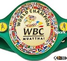 Boxing Wbc Championship Title Muay Thai Champion Title Belt Adult Size 4mm Zinc