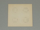 Socialist Party Workers Of The World United Cause Uncut Sheet Of Button Fronts