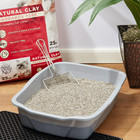 Special Kitty Non-clumping Clay Cat Litter  Unscented  25 Lb Bag