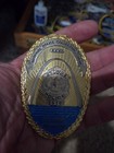 St Louis Collector Shield And Lapel Pin 