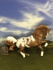 Ooak Breyer Cm Custom Stablemate Horse  By D  Williams   Chestnut Appaloosa  