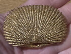 C 1973 Estee Lauder Solid Perfume Shell Compact - Youth Dew
