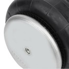 Air Suspension For Trucks Fit W21-760-6782