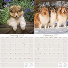 Collie 2027 Wall Calendar With Bonus Months 12x12 Dog Breed Wall Art Decor Gift