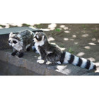 Hansa Standing Racoon Plush Cuddly Realistic Handmade Stuffed Animal Toy No5238