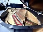 Steinway L Grand Piano 5 10 1 2  Satin Ebony