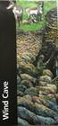 New Wind Cave Np - Sd   National Park Service Unigrid Brochure Map  Gpo 2023