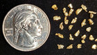 Gold Rush   2  Authentic Alaskan Yukon Gold Nuggets   Buy 5   Get One Free
