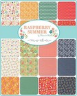 Raspberry Summer Layer Cake 37690lc Precut 10  Squares  Colorful Cotton Fabric