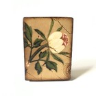 Sid Dickens  T-116 Peony Bloom Flower Memory Block Tile Retired Collection Rare