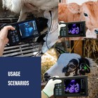Portable Veterinary Ultrasound Machine Animals Ultrasound Scanner Vet Pregnancy