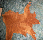 Pa Whitetail Deer Tanned Hide Skin Large