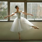 Adult Ballet Dance Show Costume Performance Dress Professional Tutu Dancewear