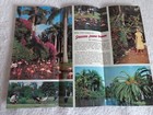  sarasota Jungle Gardens Sarasota Fl Brochure Pamphlet Vacation Lake Travel Vtg 