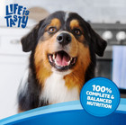 Original Savory Beef   Chicken Flavors Dry Dog Food  45 Lb  Bag