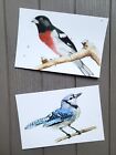 Watercolor Birds Greeting Cards Pack Of 6 With Individual Envelopes
