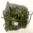 Military Issue Molle Ii Main Pack - Woodland Camo -- Pack Only
