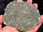 Very Rare Polished Green Petrified Fossil Dino Dinosaur Bone 4 75   x3 75    Geology