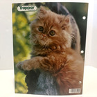 Vintage 80   s Mead Trapper Keeper Portfolio Folder Orange Kitten Kitty 3 Hole
