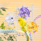 Budgie Toys  Parakeet Training Toy  Interactive Bird Educational Toy For Small B