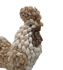 Chickens Set Sea Shells Vintage Rare