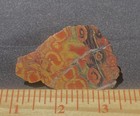Morgan Hill Poppy Aa Grade Psychedelic Face Thin Edege Cut Rough Gem 64 Grams 