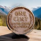 1909-p Vdb Better Lincoln Wheat Cent    best Value On Ebay    Fast Free Shipping