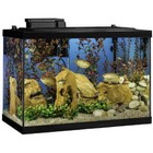 Fish Tanks 20-gallon Led Glass Aquarium Starter Kit With Filter  Heater   Plants