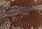 New Cowhide Rugs Area Cow Skin Leather 30 24 Sq feet  67 x65   Cow Hide M1209