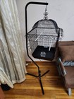 Prevue Pet Products Jumbo Bird Cage  18-inch By 18-inch With A Stand 