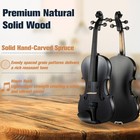 Mendini By Cecilio 4 4 Full Size Beginner Violin Kit Black Open Box