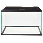 5 Gallon Glass Aquarium Starter Kits