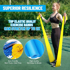 Resistance Bands Set Workout Exercise Bands Yoga Pilates Rehab Home Gym