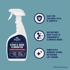 New Rocco   Roxie Strong Enzyme Pet Carpet Stain Remover For Cats   Dogs 32 Oz