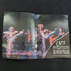 Cats The Musical Souvenir Program Brochure Vintage Theater Memorabilia Original
