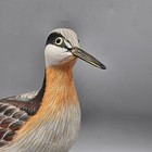 Hand-carved And Hand-painted Sandpiper Decoy