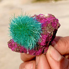 Rare Dandelion Zeolite Cluster Titanium Geode Quartz Crystal Healing Specimens