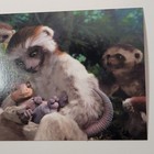 Vtg Uncirculated Walt Disney Animation Art Dinosaur  baby Aladar  Postcard Pa