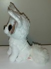 Ty Beanie Boos - Phoenix The White Fennic Fox 6  New Mwmts Plush Stuffed Animal 