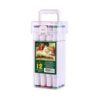 Vignette 12 Color Double Tipped Alcohol Markers Chisel   Fine Nibs Value Set