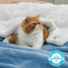 Soft Chenille Blanket - Thick And Warm Unisex Blanket