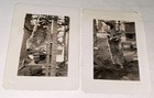 Rare Vintage American Adorable Caged Raccoon Snapshot Photo Lot  Cute Animals 