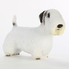 Sealyham Terrier Figurine Hand Painted Statue
