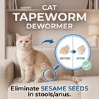 Effective Tapeworm Treatment For Cats   Kittens  Praziquantel Liquid Dewormer  1
