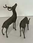 Vtg Mcm Brass 12 5    Buck And 8    Doe Spotted Heavy Pair Of Deer  4 8lbs Total