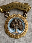Gold Service Pins 2 Enameled Pta National Congress Parents Teachers 1897 Medal