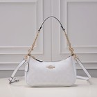 Coach Teri 2way Ca548 Shoulder Bag Signature Coated Canvas White Outlet