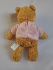 2001 Avon Breast Cancer Crusade Teddy Bear Pink Ribbon Vgc