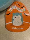 Squishmallow Plush 5  Winston Blue Owl